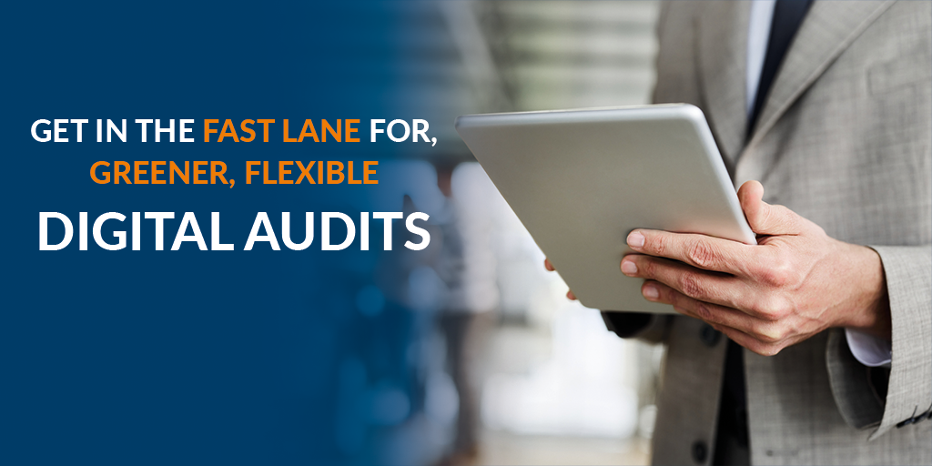 Greener, Flexible Audits